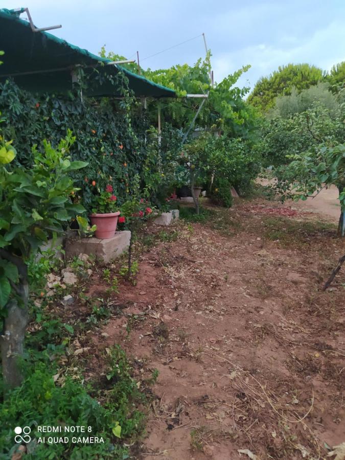 Ozena Countryside Apartment Vromonérion المظهر الخارجي الصورة