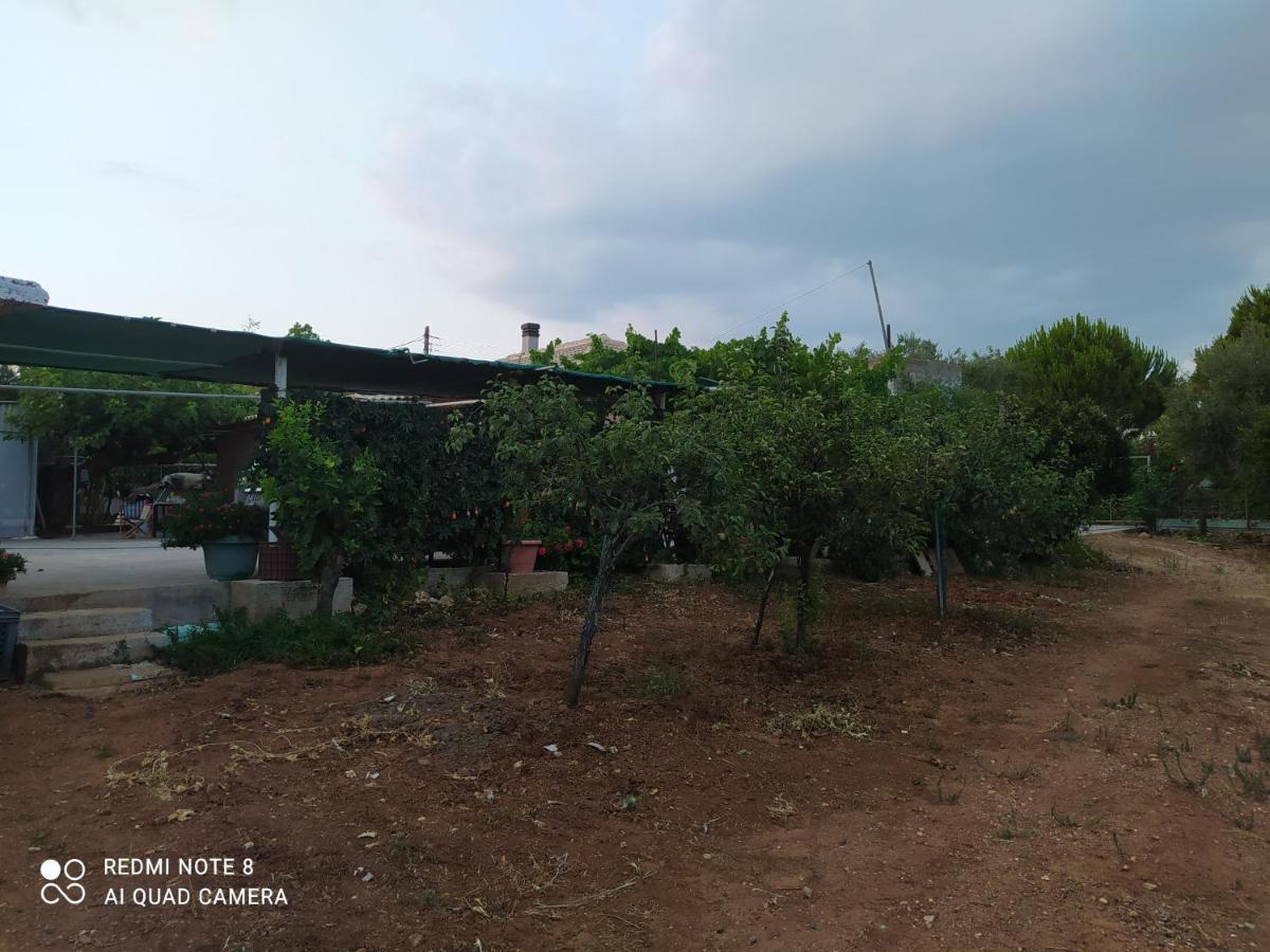 Ozena Countryside Apartment Vromonérion المظهر الخارجي الصورة